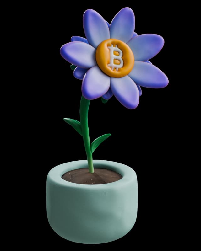 Bitcoin flower